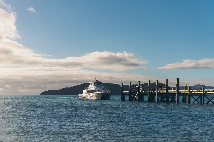 Cougar Line Jetty Arrival Cruise Boat
